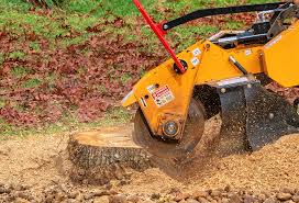 Best Soil Testing and Treatment  in Granbury, TX